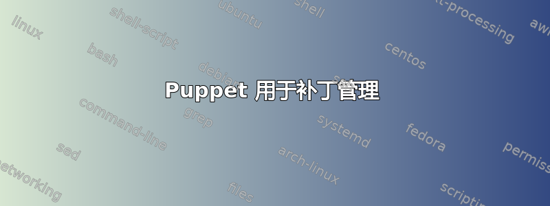 Puppet 用于补丁管理