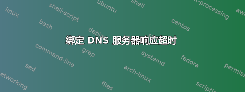 绑定 DNS 服务器响应超时