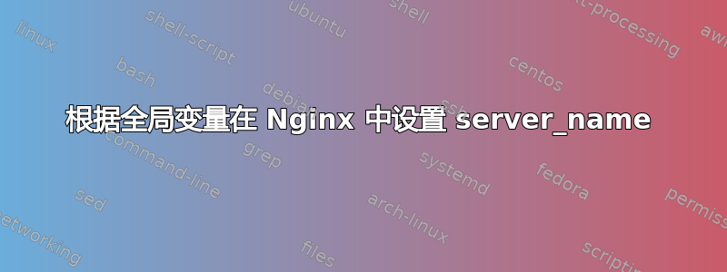 根据全局变量在 Nginx 中设置 server_name