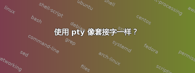 使用 pty 像套接字一样？