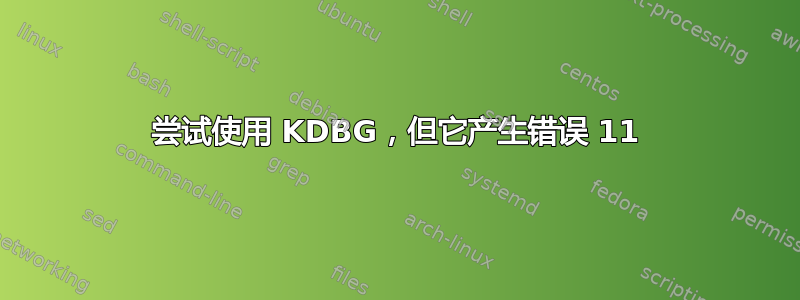 尝试使用 KDBG，但它产生错误 11