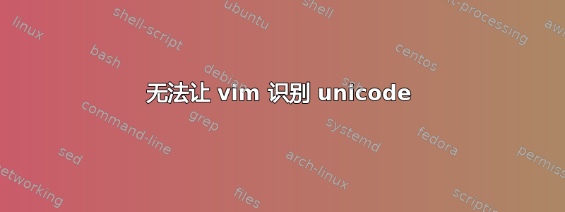 无法让 vim 识别 unicode