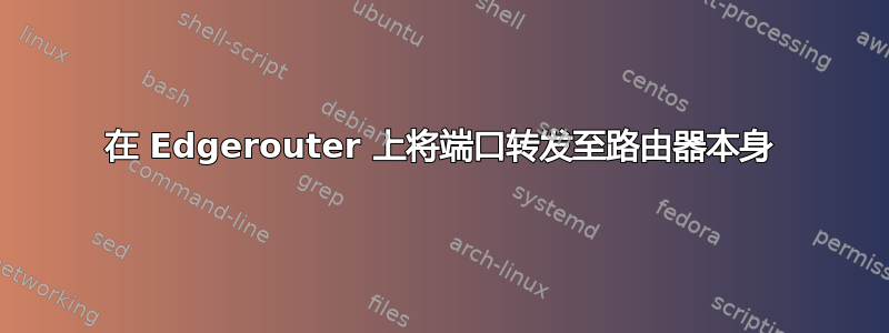 在 Edgerouter 上将端口转发至路由器本身