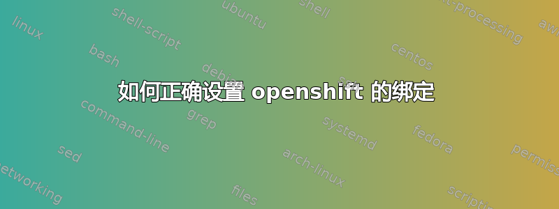 如何正确设置 openshift 的绑定