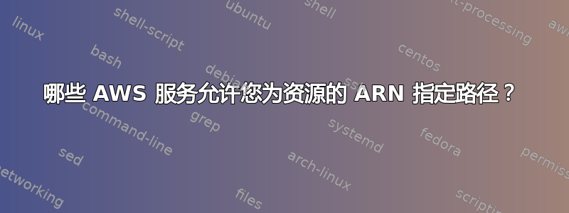 哪些 AWS 服务允许您为资源的 ARN 指定路径？