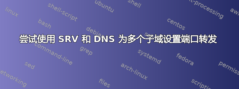 尝试使用 SRV 和 DNS 为多个子域设置端口转发