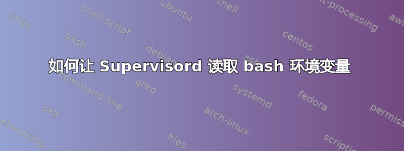 如何让 Supervisord 读取 bash 环境变量