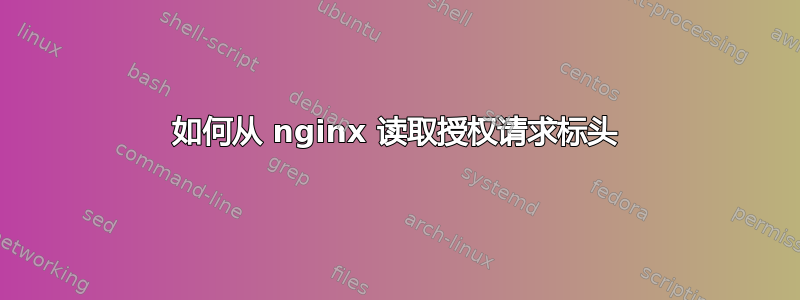 如何从 nginx 读取授权请求标头