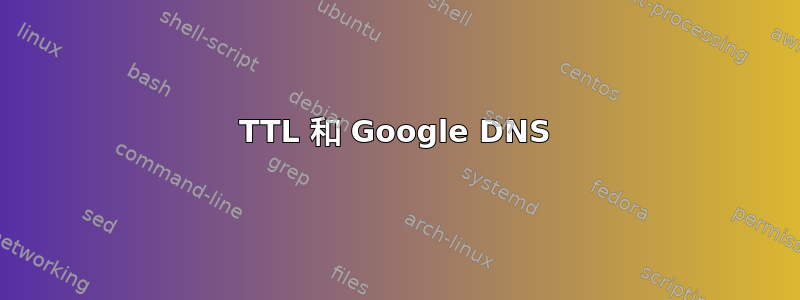 TTL 和 Google DNS