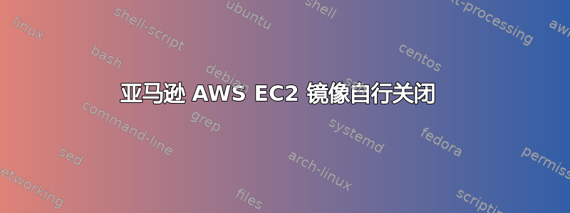 亚马逊 AWS EC2 镜像自行关闭 