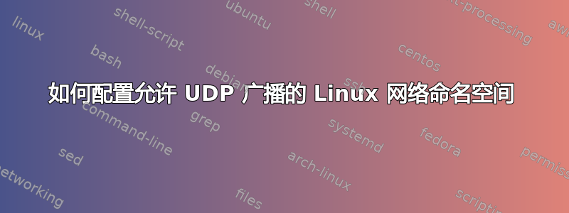 如何配置允许 UDP 广播的 Linux 网络命名空间