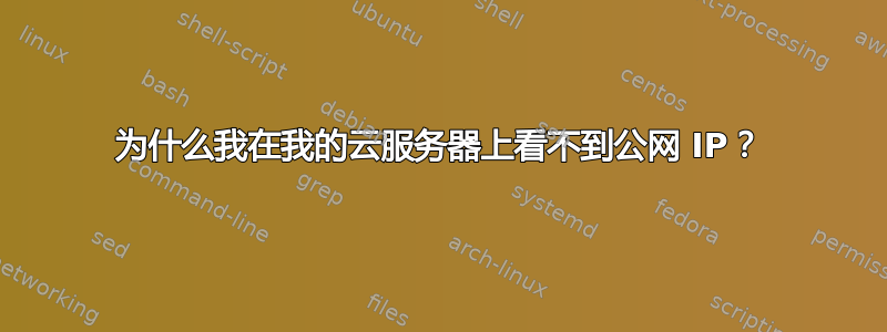 为什么我在我的云服务器上看不到公网 IP？