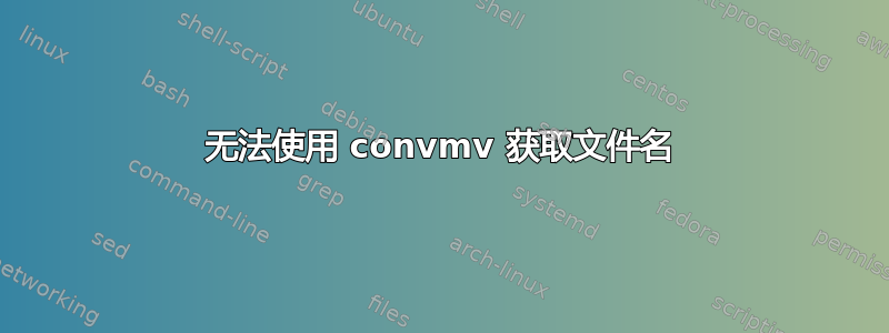 无法使用 convmv 获取文件名