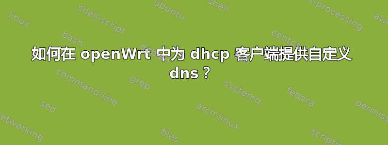 如何在 openWrt 中为 dhcp 客户端提供自定义 dns？