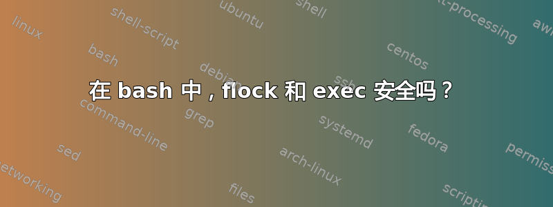 在 bash 中，flock 和 exec 安全吗？