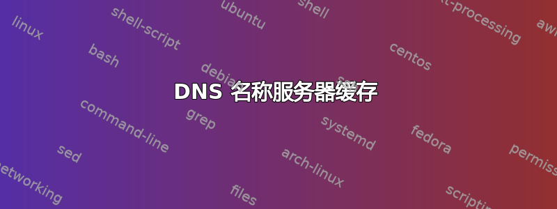 DNS 名称服务器缓存