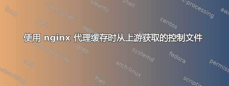 使用 nginx 代理缓存时从上游获取的控制文件