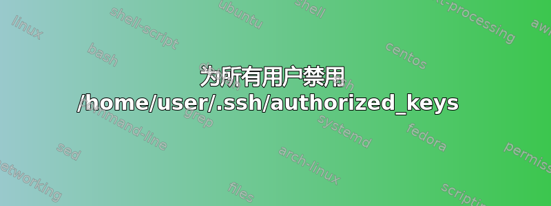 为所有用户禁用 /home/user/.ssh/authorized_keys 