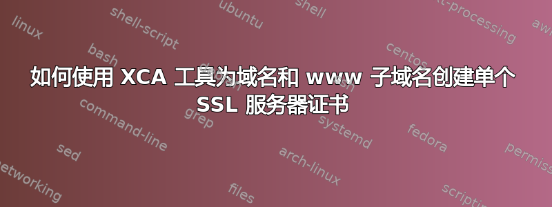 如何使用 XCA 工具为域名和 www 子域名创建单个 SSL 服务器证书