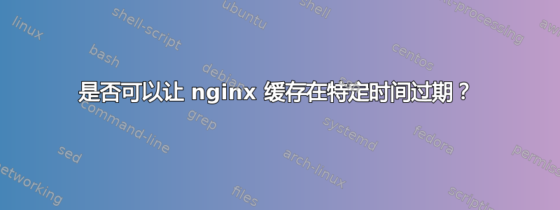 是否可以让 nginx 缓存在特定时间过期？