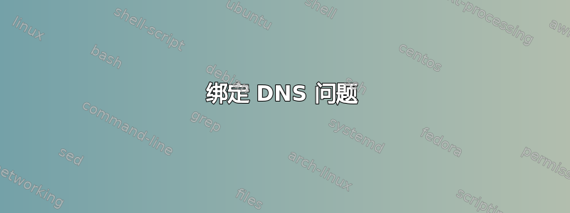 绑定 DNS 问题