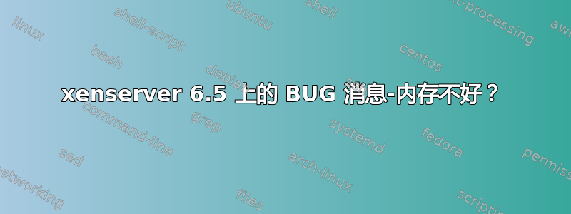 xenserver 6.5 上的 BUG 消息-内存不好？