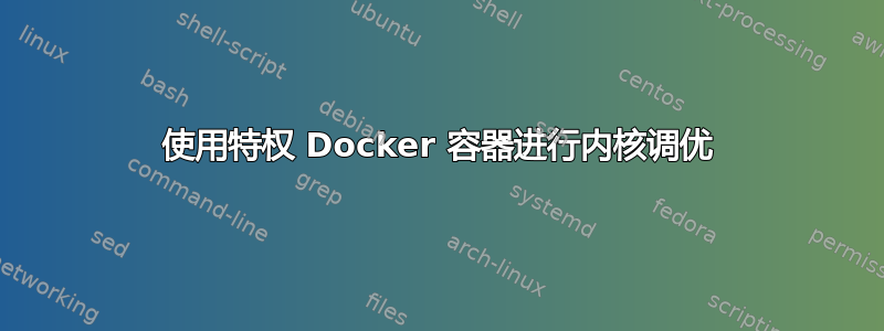 使用特权 Docker 容器进行内核调优