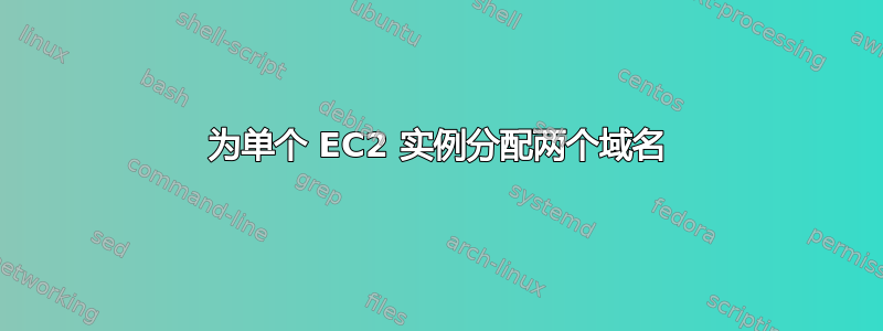 为单个 EC2 实例分配两个域名