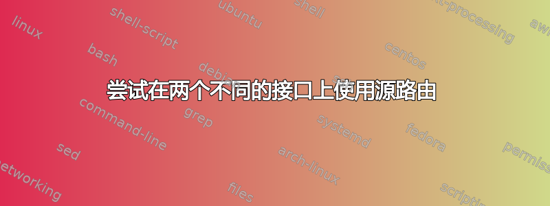 尝试在两个不同的接口上使用源路由