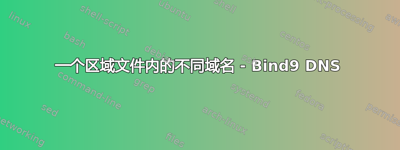 一个区域文件内的不同域名 - Bind9 DNS