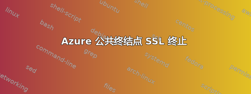 Azure 公共终结点 SSL 终止