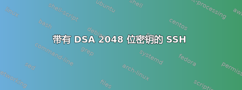 带有 DSA 2048 位密钥的 SSH