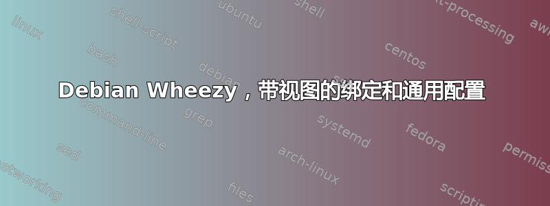 Debian Wheezy，带视图的绑定和通用配置