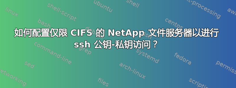 如何配置仅限 CIFS 的 NetApp 文件服务器以进行 ssh 公钥-私钥访问？