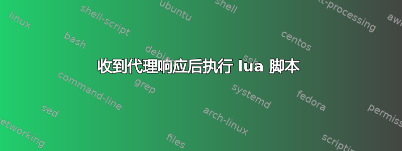 收到代理响应后执行 lua 脚本