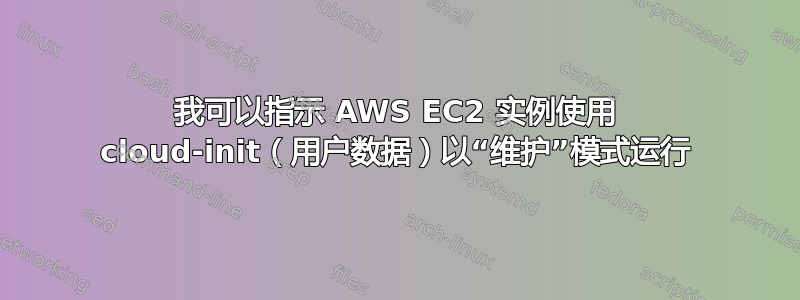 我可以指示 AWS EC2 实例使用 cloud-init（用户数据）以“维护”模式运行