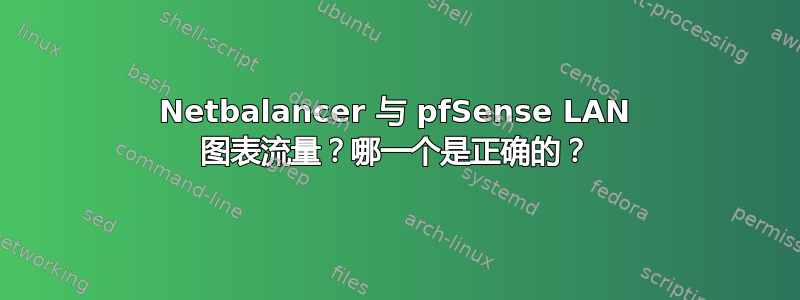 Netbalancer 与 pfSense LAN 图表流量？哪一个是正确的？