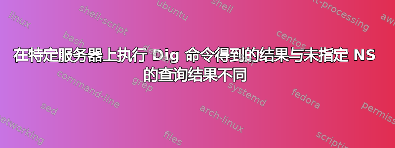 在特定服务器上执行 Dig 命令得到的结果与未指定 NS 的查询结果不同