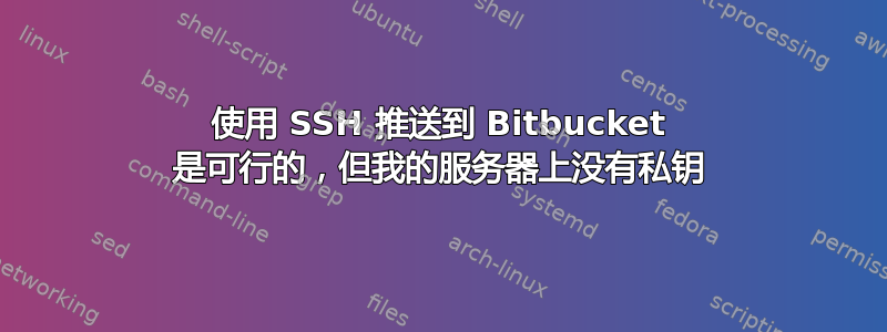 使用 SSH 推送到 Bitbucket 是可行的，但我的服务器上没有私钥