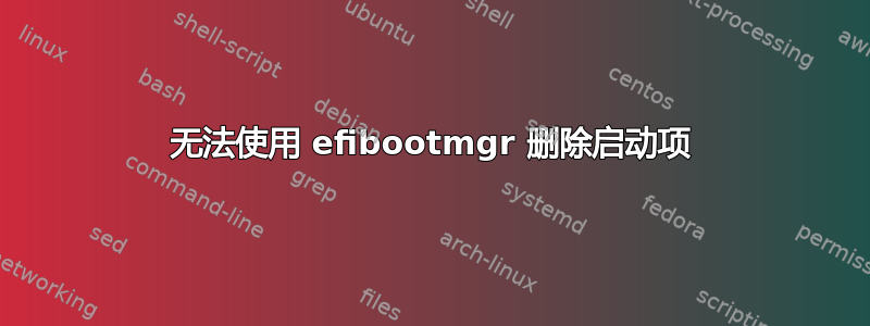 无法使用 efibootmgr 删除启动项