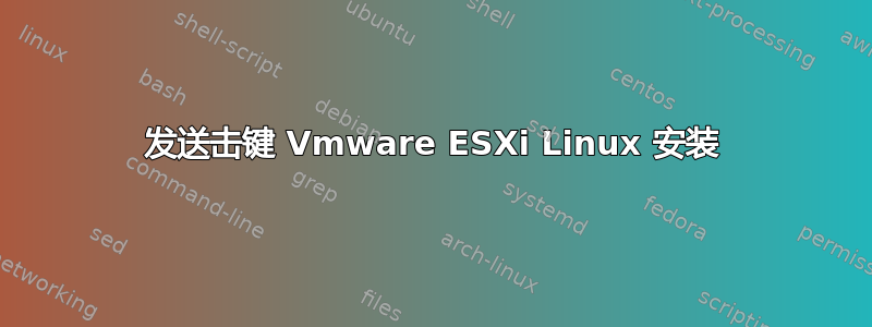 发送击键 Vmware ESXi Linux 安装