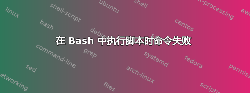 在 Bash 中执行脚本时命令失败