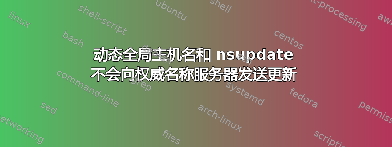 动态全局主机名和 nsupdate 不会向权威名称服务器发送更新