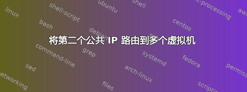 将第二个公共 IP 路由到多个虚拟机