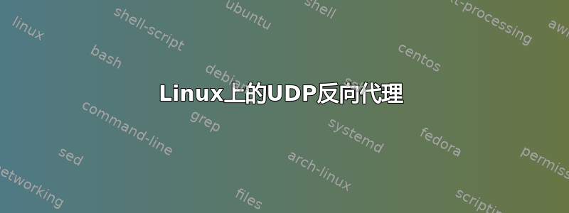 Linux上的UDP反向代理