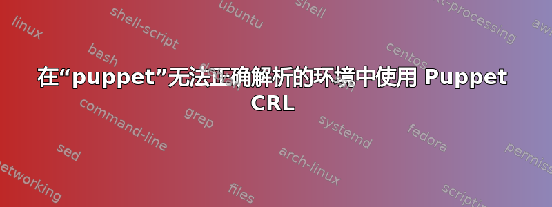 在“puppet”无法正确解析的环境中使用 Puppet CRL