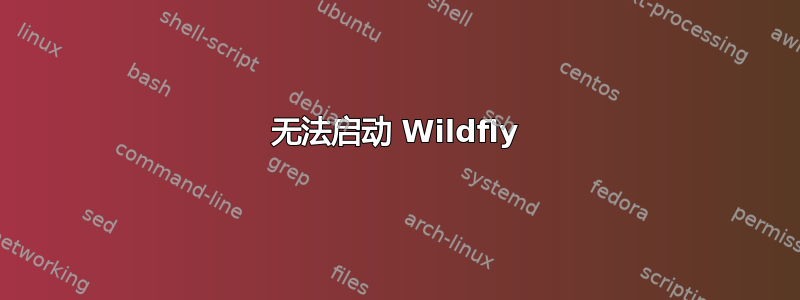 无法启动 Wildfly