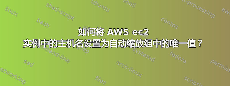 如何将 AWS ec2 实例中的主机名设置为自动缩放组中的唯一值？