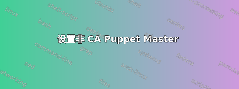 设置非 CA Puppet Master