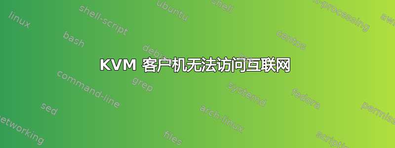 KVM 客户机无法访问互联网